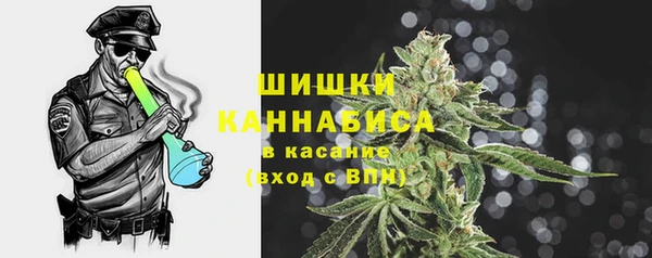 хмурый Арсеньев