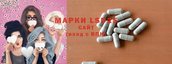 хмурый Арсеньев