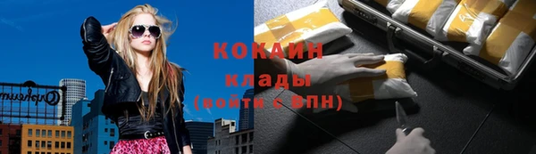 хмурый Арсеньев