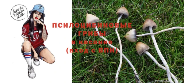 хмурый Арсеньев