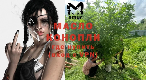 хмурый Арсеньев